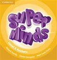 Super Minds 5 Posters 