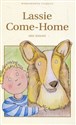 Lassie Come-Home Bookshop