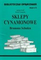 Biblioteczka opracowań Sklepy cynamonowe Brunona Schulza Zeszyt nr 13 - 