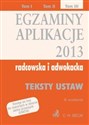 Egzaminy Aplikacje radcowska i adwokacka 2013 Tom 3 in polish
