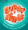Super Minds 3 Posters bookstore