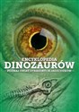 Encyklopedia dinozaurów Poznaj świat strasznych jaszczurów 