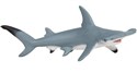 Rekin młot - 