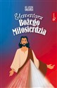 Elementarz Bożego Miłosierdzia  