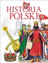 Historia Polski - Krzysztof Wiśniewski in polish