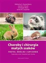 Choroby i chirurgia małych ssaków Fretki, króliki, gryzonie pl online bookstore