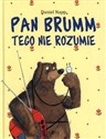 Pan Brumm tego nie rozumie 