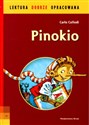 Pinokio Przygody drewnianego pajaca  