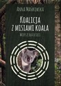 Koalicja z misiami koala Wiersze dla dzieci polish usa