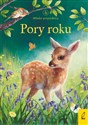 Młodzi przyrodnicy Pory roku buy polish books in Usa