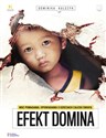 Efekt Domina Moc pomagania Opowiadania o dzieciach z całego świata - Dominika Kulczyk bookstore