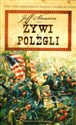 Wojna secesyjna 3 Żywi i polegli in polish