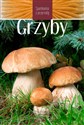 Grzyby Spotkania z przyrodą Polish bookstore