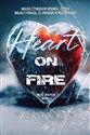 Miłość w Alpach. Hans. Heart on fire - Iwona Jaworska