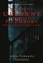 Kolejne upiorne opowieści po zmroku Historie które mrożą krew w żyłach - Alvin Schwartz