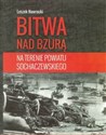 Bitwa nad Bzurą na terenie powiatu sochaczewskiego  