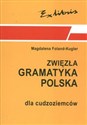 Zwięzła gramatyka polska dla cudzoziemców books in polish