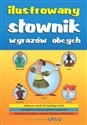 Ilustrowany słownik wyrazów obcych buy polish books in Usa