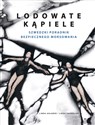 Lodowate kąpiele Szwedzki poradnik bezpiecznego morsowania - Linda Vagnelind, Linda Ahlgren