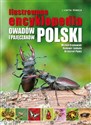 Ilustrowana encyklopedia owadów i pajęczaków in polish