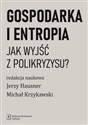 Gospodarka i entropia Jak wyjśc z polikryzysu? Polish bookstore