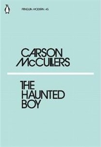 The Haunted Boy Polish Books Canada