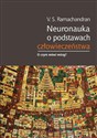 Neuronauka o podstawach człowieczeństwa - V. S. Ramachandran books in polish