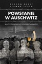 Powstanie w Auschwitz Bunt żydowskiego Sonderkommando - Gideon Greif, Itamar Levin