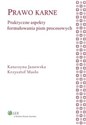 Prawo karne Praktyczne aspekty formułowania pism procesowych online polish bookstore