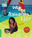 Why Do Raindrops Fall? 3 Factbook 