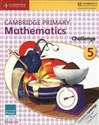 Cambridge Primary Mathematics Challenge 5 - Emma Low polish books in canada