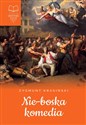 Nie-boska komedia - Zygmunt Krasiński