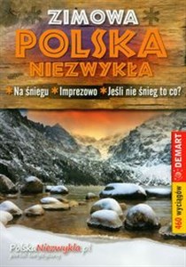 Polska Niezwykła zimowa bookstore