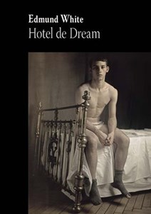 Hotel de Dream Polish bookstore