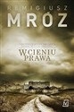 W cieniu prawa - Remigiusz Mróz