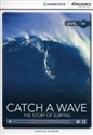 Catch a Wave: The Story of Surfing Beginning B chicago polish bookstore