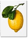 The Gourmand's Lemon A Collection of Stories and recipes polish books in canada