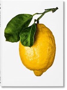 The Gourmand's Lemon A Collection of Stories and recipes polish books in canada