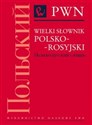 Wielki słownik polsko-rosyjski  books in polish