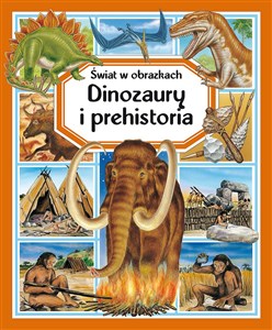 Świat w obrazkach Dinozaury i prehistoria chicago polish bookstore