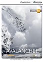 Avalanche! pl online bookstore