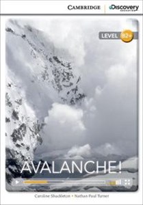 Avalanche! pl online bookstore