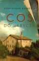 Coś do ukrycia online polish bookstore