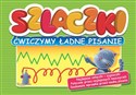 Szlaczki ćwiczymy ładne pisanie - Renata Pitala