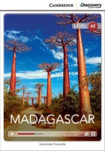 Madagascar chicago polish bookstore