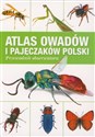 Atlas owadów i pajęczaków Polski. Przewodnik obserwatora. Fakt Polish Books Canada