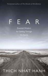 Fear in polish