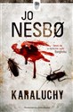 Karaluchy - Jo Nesbo online polish bookstore