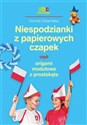 Niespodzianki z papierowych czapek czyli origami modułowe z prostokąta - Dorota Dziamska Bookshop
