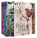 Pakiet Ptaki Polski Polish Books Canada